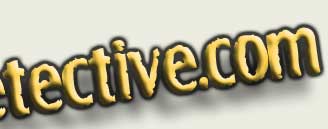 PrivacyDetective.com Logo